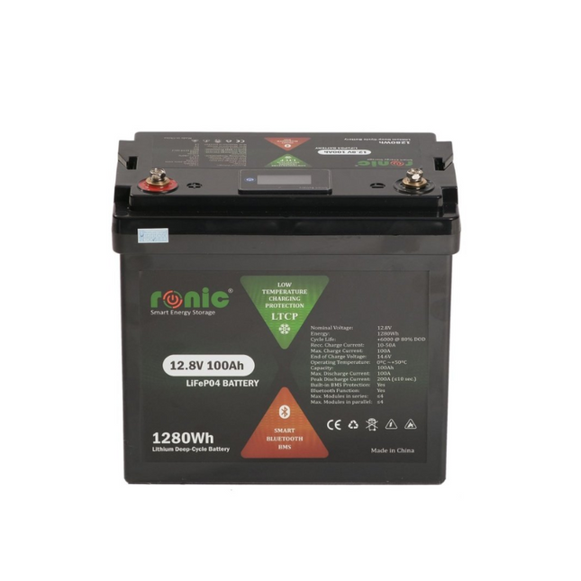 Batería LiFePo4 de 12,8 V y 100 Ah