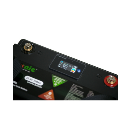 Bateria LiFePo4 12,8 V 100 Ah