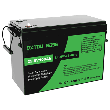 Batteria LiFePo4 da 24 V e 100 Ah, DT-24V100A-A01